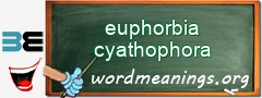 WordMeaning blackboard for euphorbia cyathophora